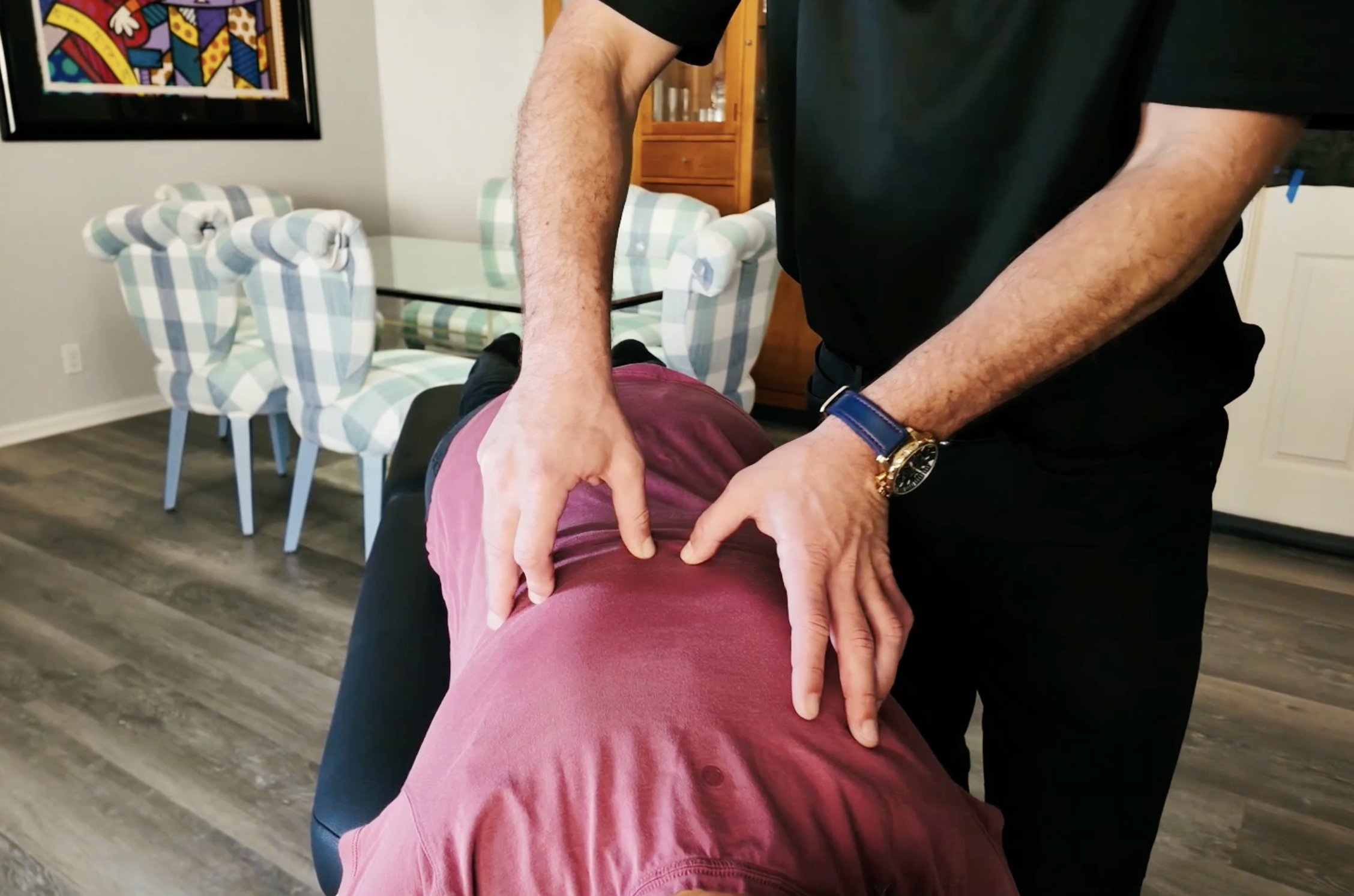 HOUSECALL CHIROPRACTIC HOME VISIT